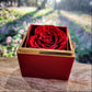 Bloom & Bond-Love Knot + Rotating Rose