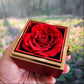 Bloom & Bond-Love Knot + Rotating Rose